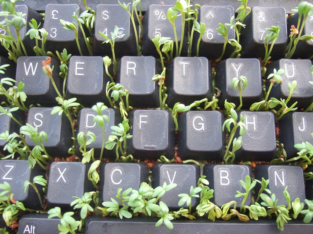 Sprouting through a keyboard