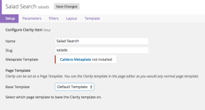 Setup tab for Clarity -- showing the page template selector.