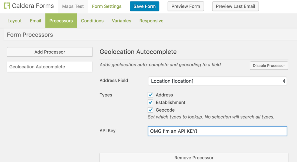 The Caldera Forms Geolocation Field processor settings with the API key set