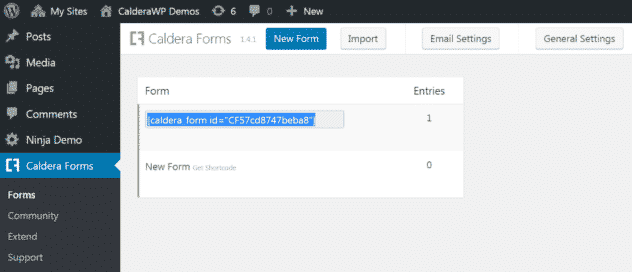 Manually add a form to a Page or Post