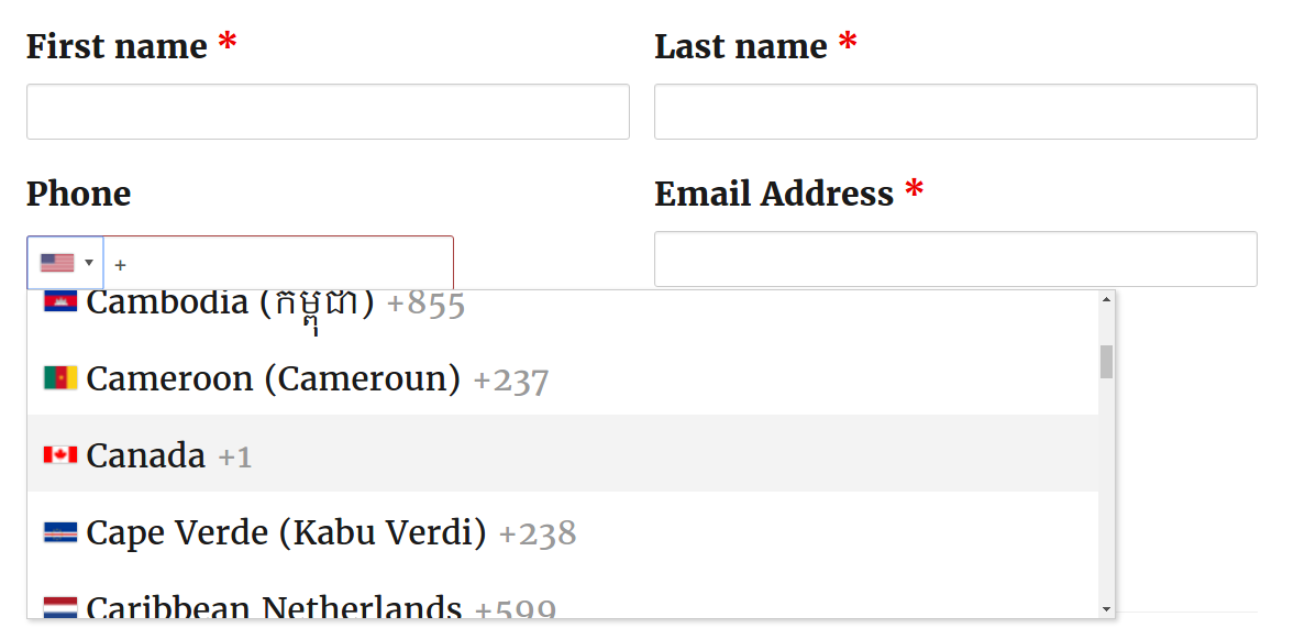 Phone number field. Phone number input Style. Netherlands Phone number. Phone number input field. French Phone number.