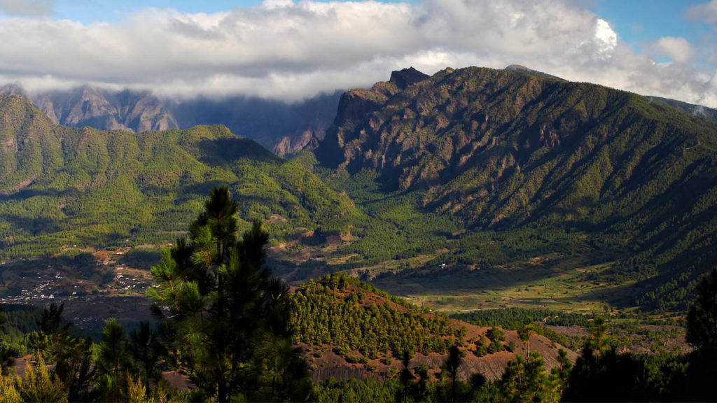 Mountain Range with a forest