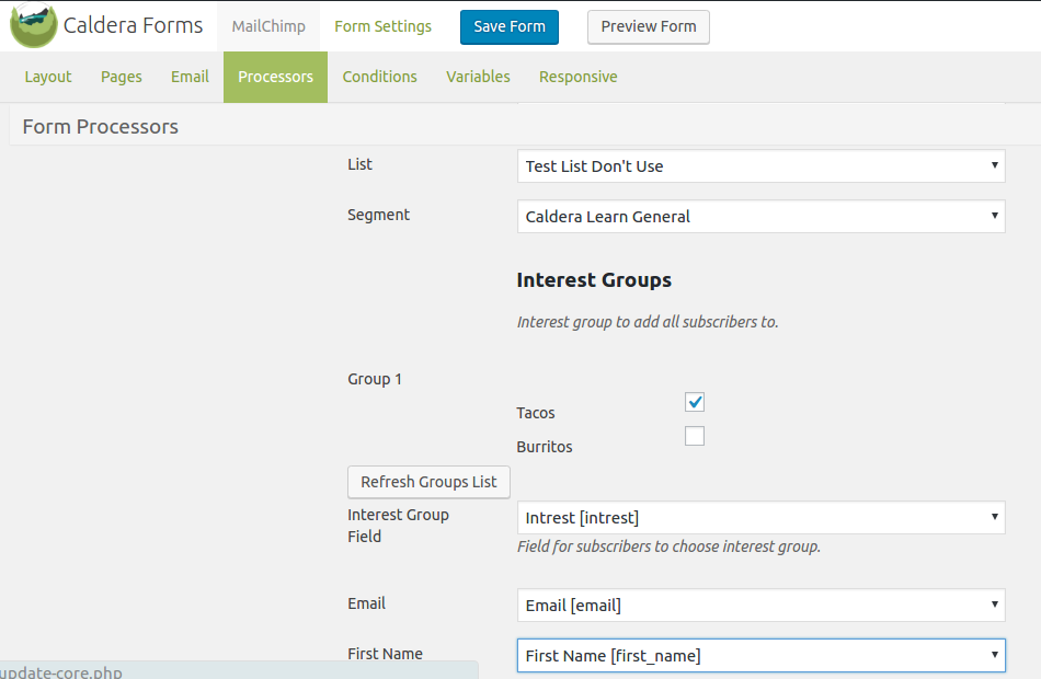 Caldera Forms MailChimp Interest Group Settings