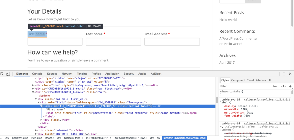 Use CSS To Style Field Labels - WordPress Form Builder | Caldera Forms