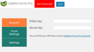 Caldera Forms Pro API Client Settings: API Keys