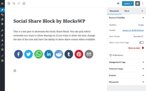 The Social Block interface