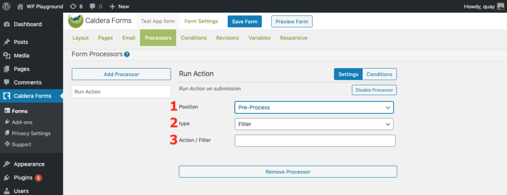 image of the run action processor and its three settings: position, type, and action/filter name