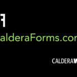 Caldera Forms: Using Processors