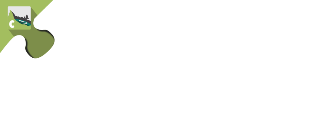 BrainTree For Caldera Forms Banner