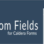 Custom Fields For Caldera Forms Add-on