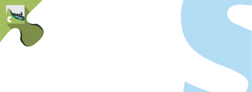 Stripe For Caldera Forms Banner