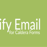 Verify Email For Caldera Forms Banner