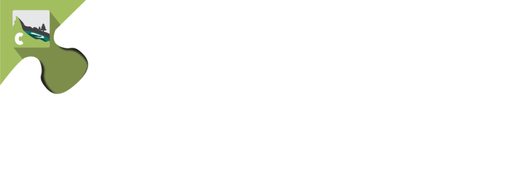 Aweber For Caldera Forms Banner